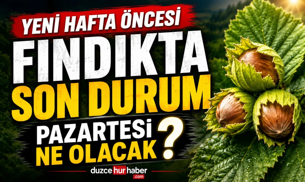 Düzce Fındık Fiyatları 10 Mayıs 2026: Yeni Hafta Öncesi Son Tablo