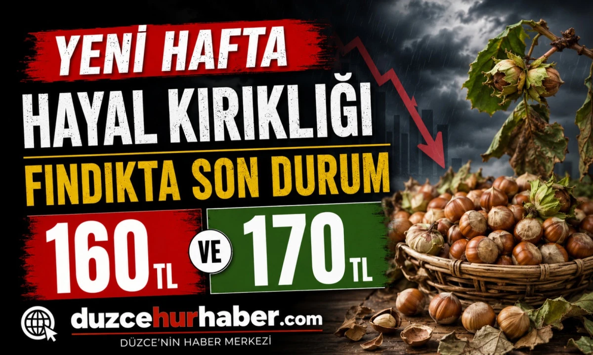 Düzce Fındık Fiyatları 11 Mayıs 2026: Yeni Haftada Beklenti Karşılık Bulmadı