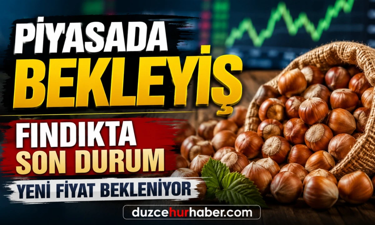 Düzce Fındık Fiyatları 12 Mayıs 2026: Piyasada Bekleyiş Sürüyor