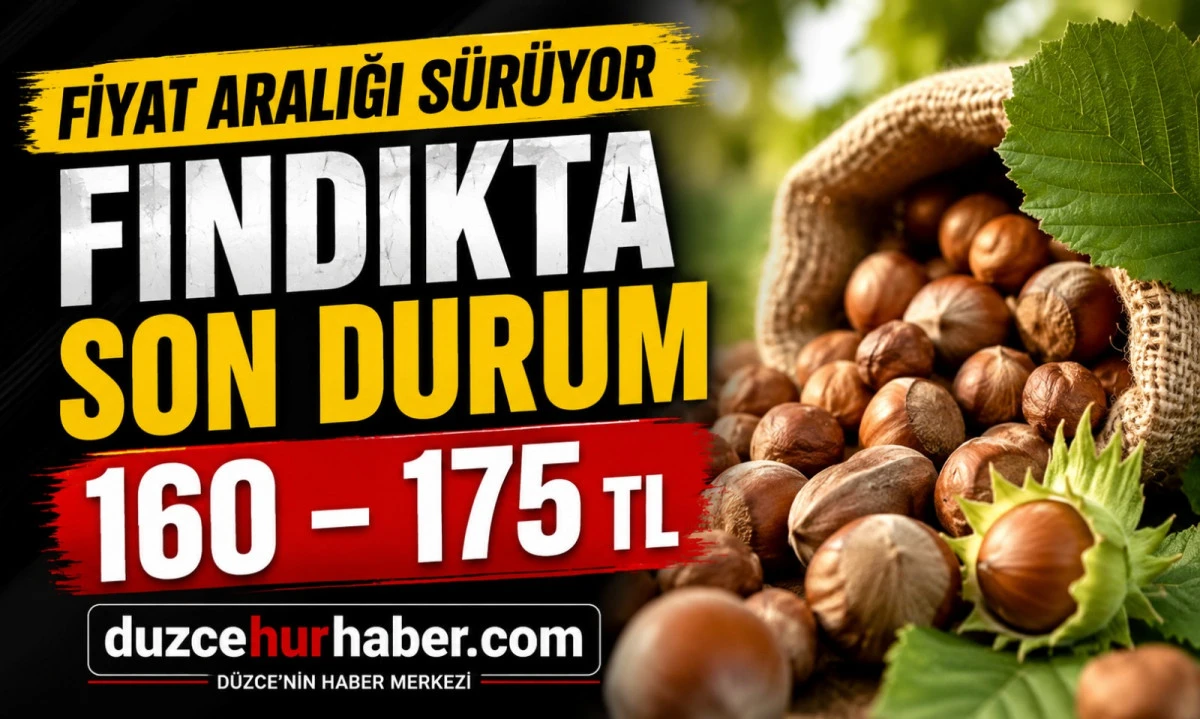 Düzce Fındık Fiyatları 14 Mayıs 2026: Piyasada Fiyat Aralığı Korunuyor