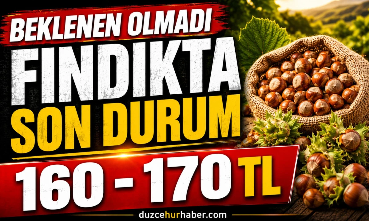 Düzce Fındık Fiyatları 18 Mayıs 2026: Beklenen Artış Gelmedi