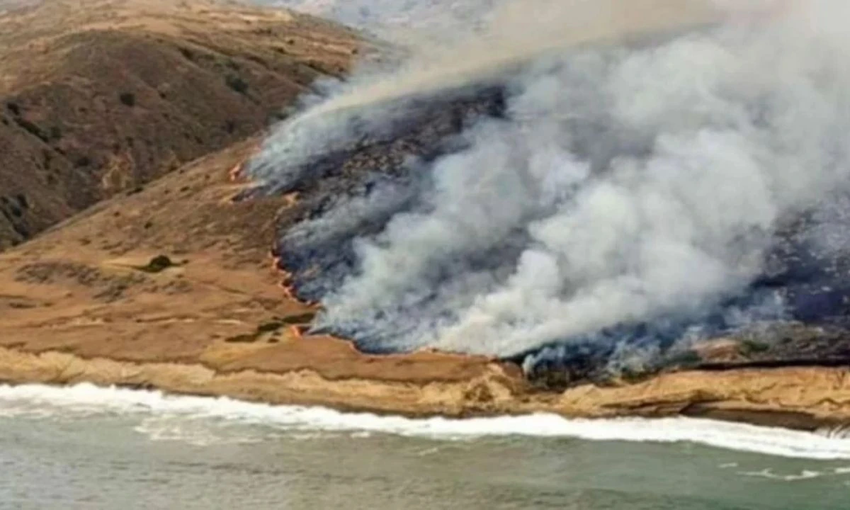 California'da yangın: Binlerce dönüm kül oldu