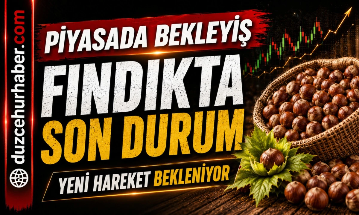 Düzce Fındık Fiyatları 19 Mayıs 2026: Piyasada Bekleyiş Devam Ediyor