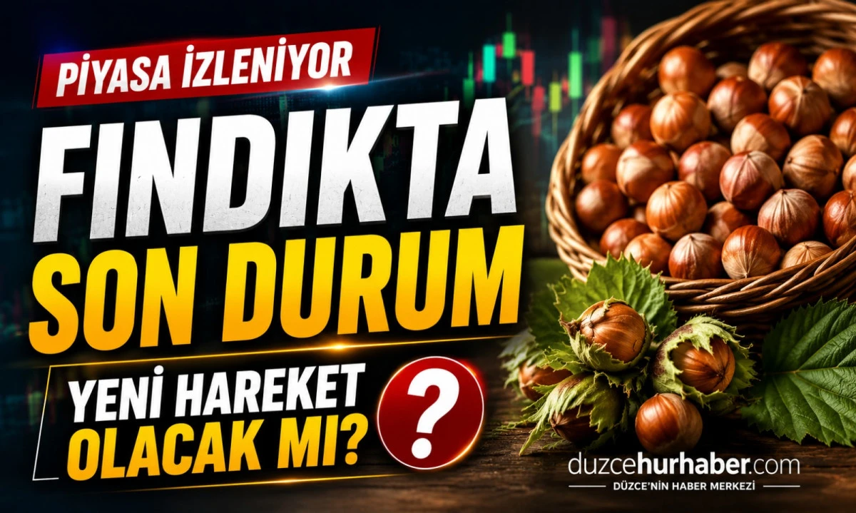 Düzce Fındık Fiyatları 20 Mayıs 2026: Piyasada Son Durum Yakından Takip Ediliyor