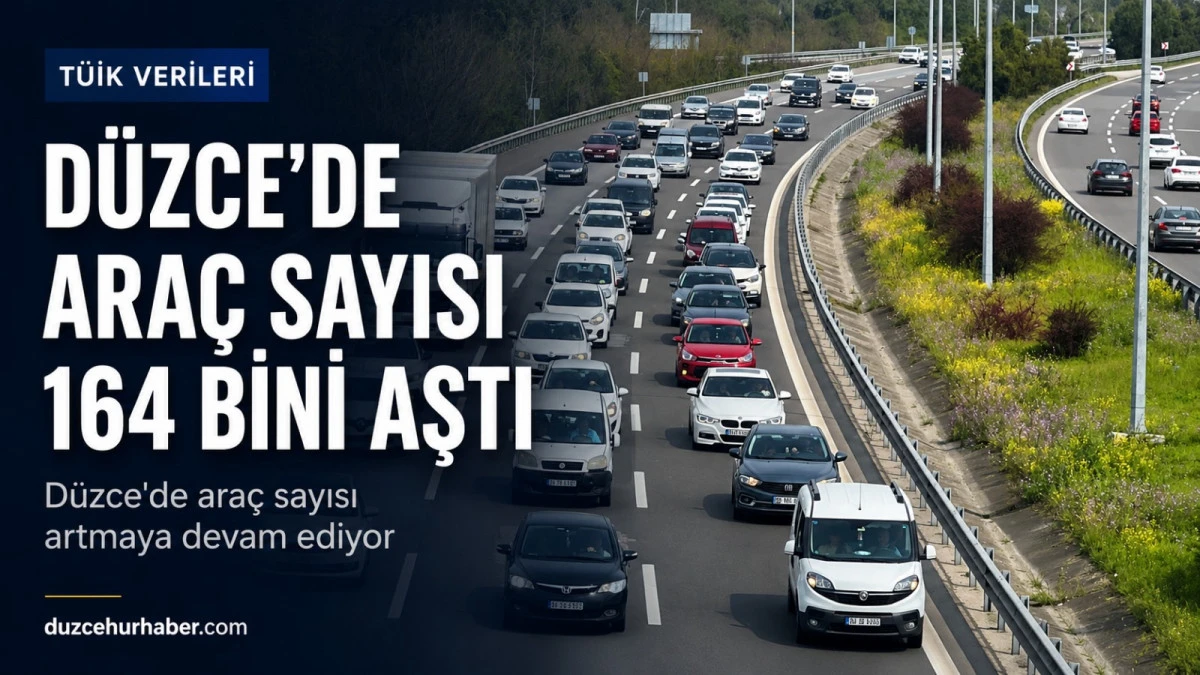 Düzce’de Araç Sayısı 164 Bini Aştı! İşte TÜİK’in Son Verileri