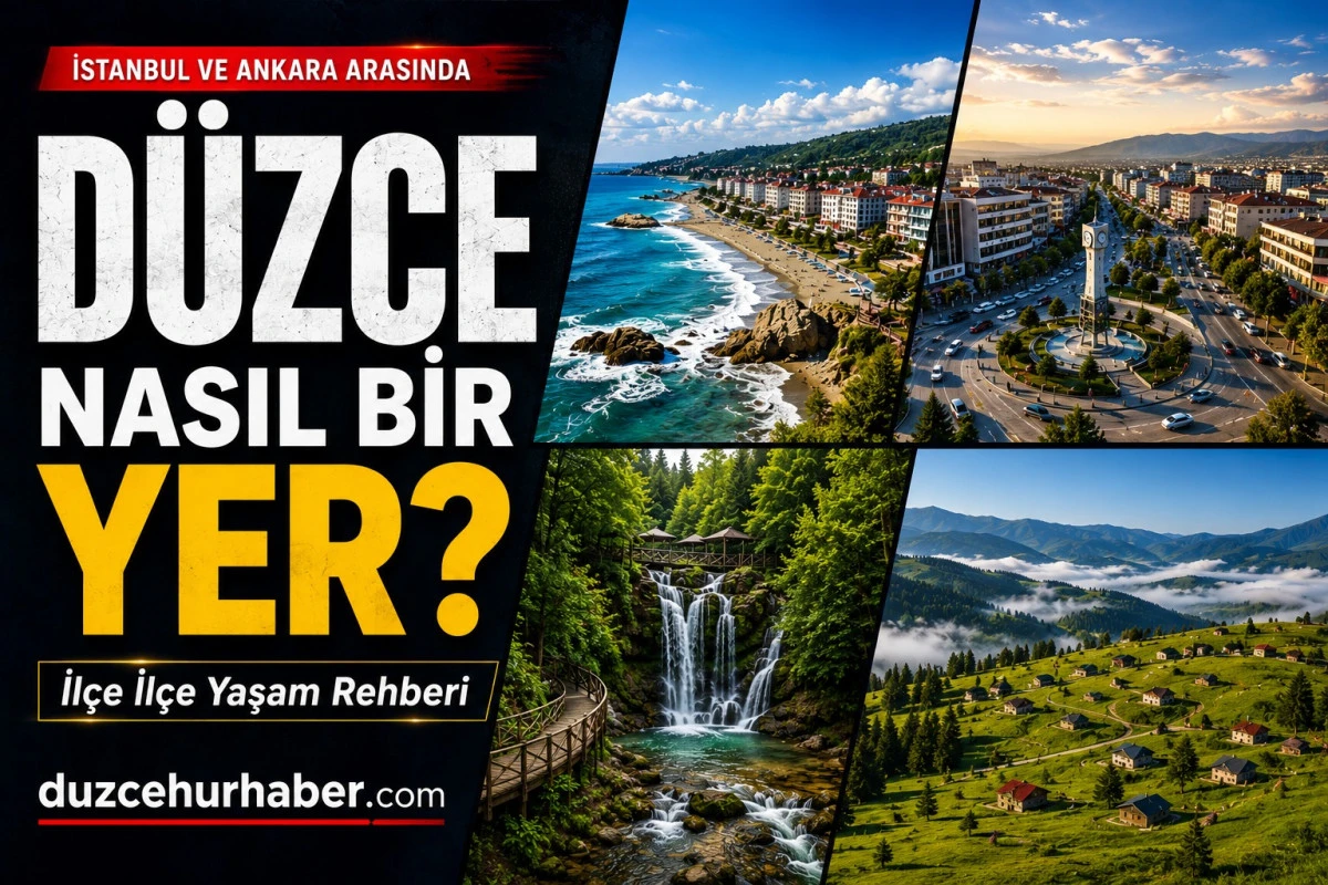 Düzce Nasıl Bir Yer? Yaşam, Ulaşım, Doğa ve İlçeleriyle Kapsamlı Rehber