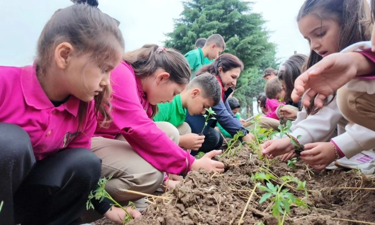 Düzce’de 550 Öğrenci Ata Tohumlarıyla Buluştu