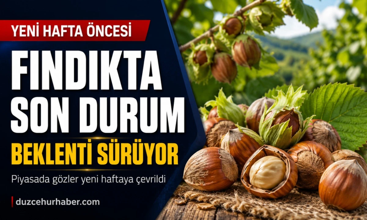 Düzce Fındık Fiyatları 24 Mayıs 2026: Piyasada Gözler Yeni Haftada