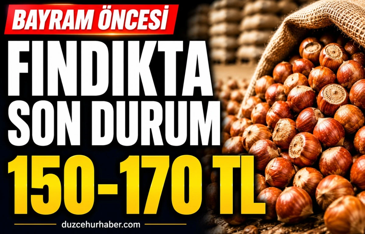 Düzce Fındık Fiyatları 25 Mayıs 2026: Bayram Öncesi Beklenen Artış Gelmedi