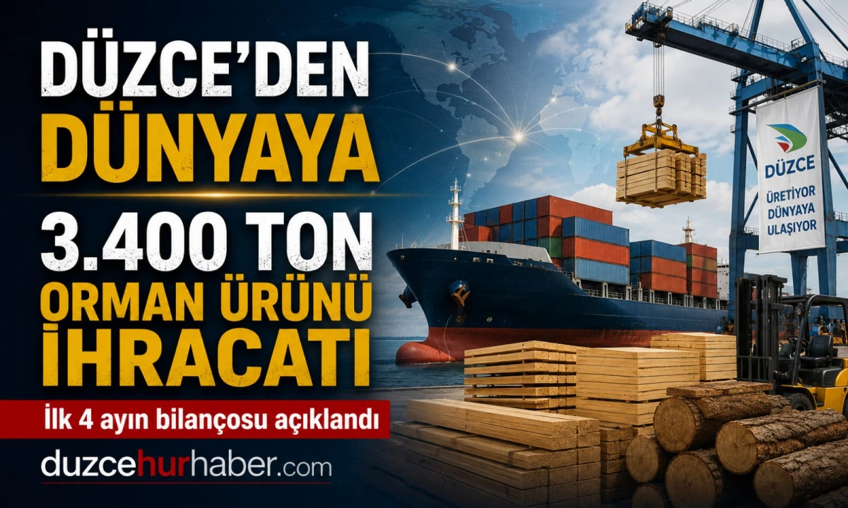 Düzce’nin Orman Gücü Dünyaya Açılıyor: İhracatta İlk 4 Ay Verileri Açıklandı