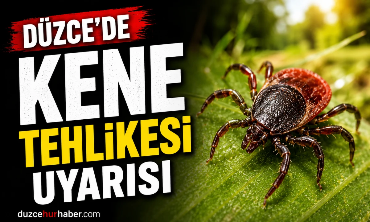 Uzmanlardan Kene ve Sıtma Hastalıklarına Karşı Uyarı
