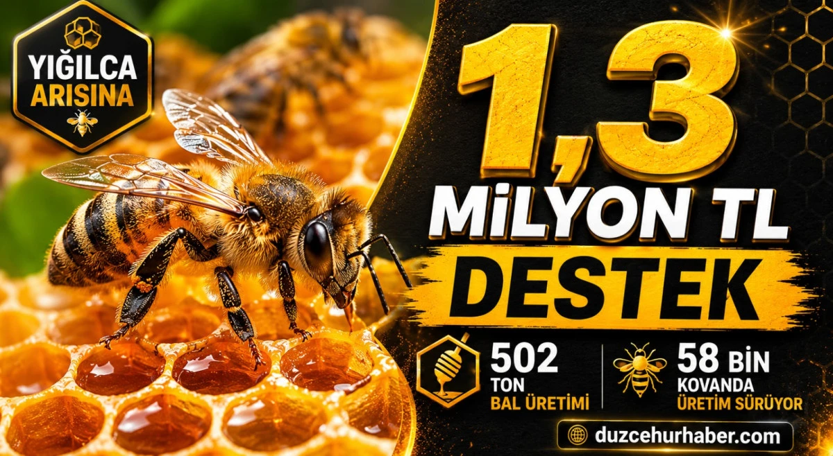 Yığılca Arısına 1,3 Milyon TL Destek! Düzce’de 58 Bin Kovanda Üretim Sürüyor