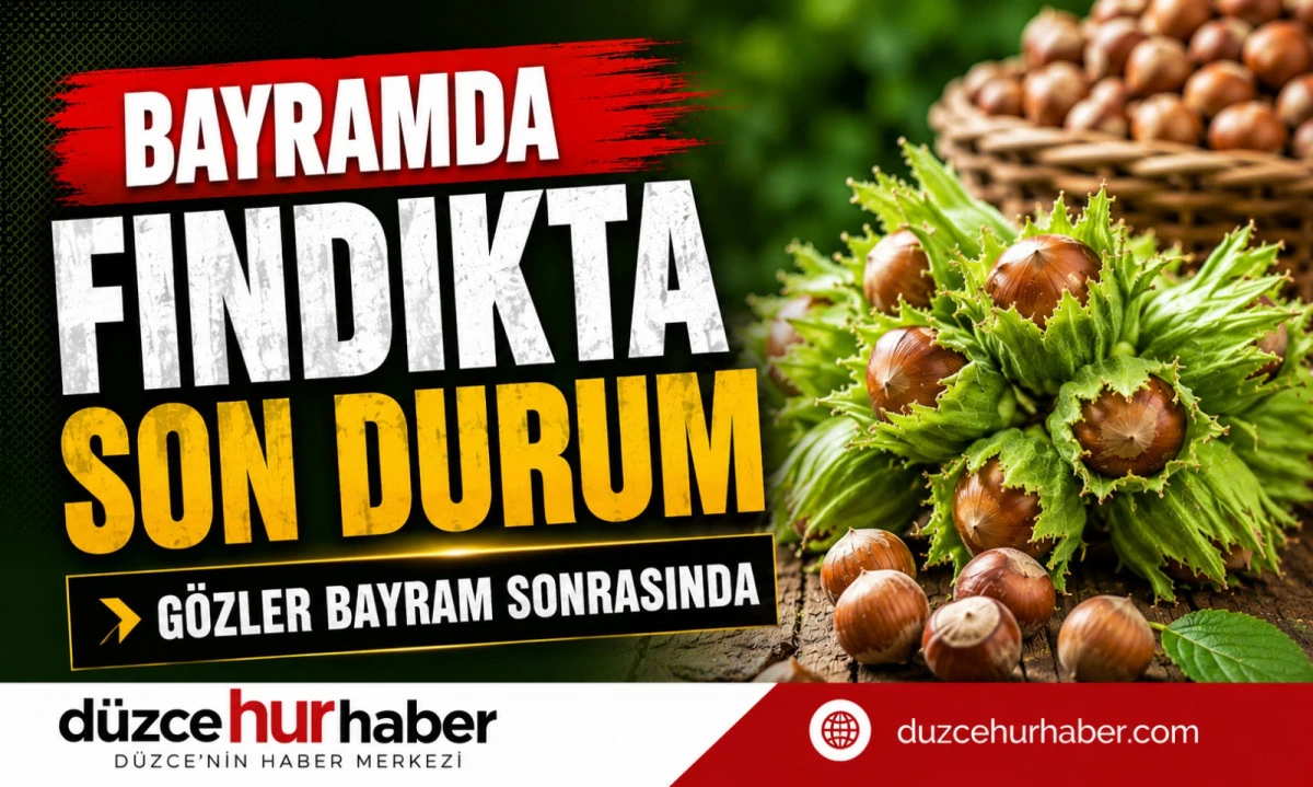Düzce Fındık Fiyatları 28 Mayıs 2026: Bayramda Piyasada Son Durum