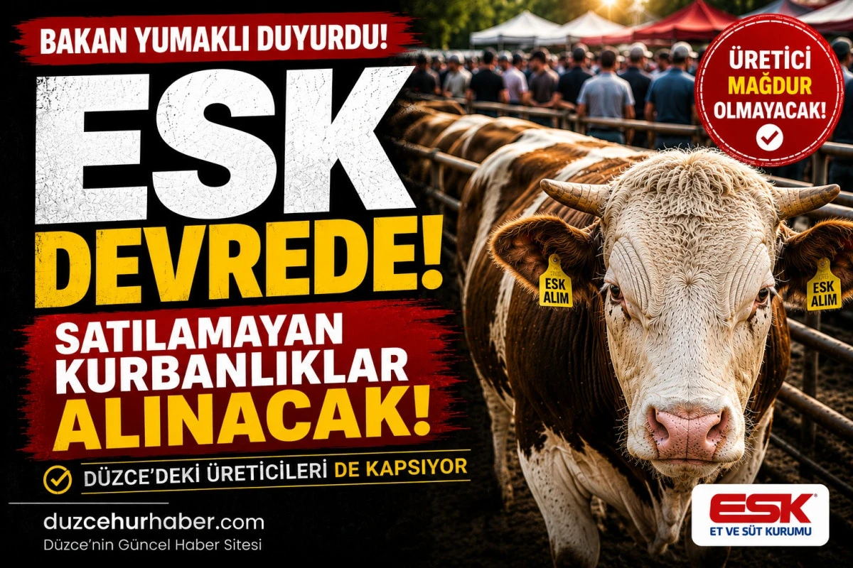 Düzce’de Satılamayan Kurbanlıklar İçin ESK Devrede