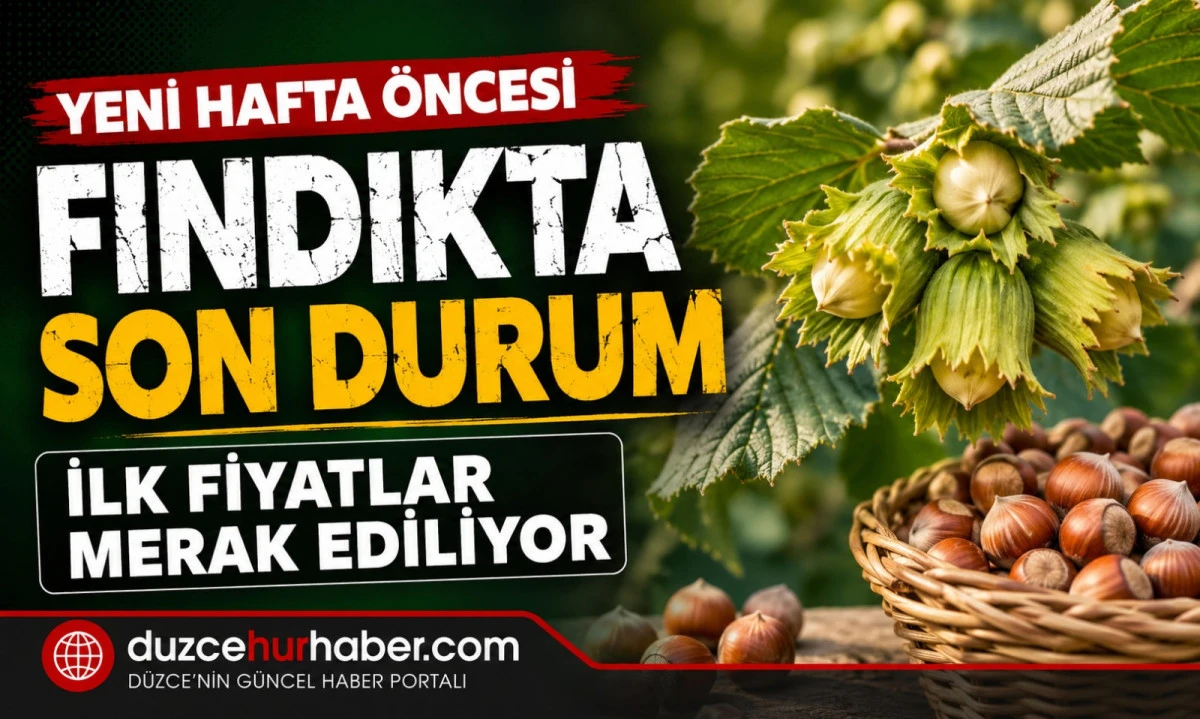 Düzce Fındık Fiyatları 31 Mayıs 2026: Yeni Hafta Öncesi Piyasada Son Durum