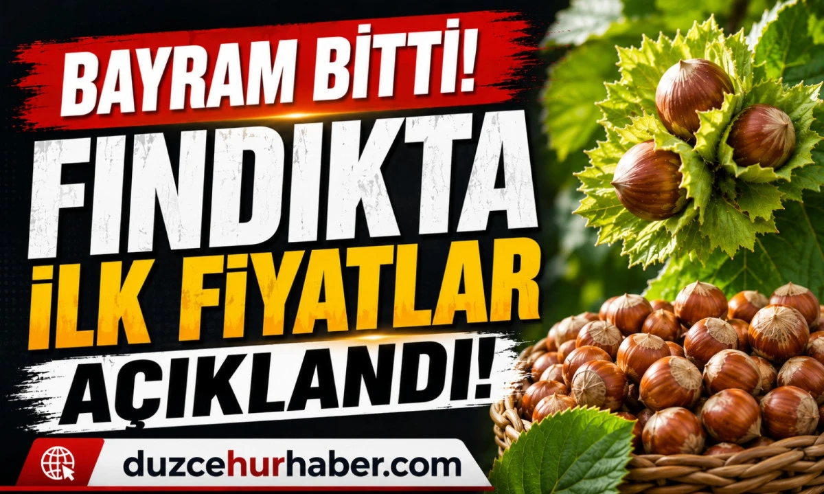 Düzce Fındık Fiyatları 1 Haziran 2026: Bayram Sonrası İlk Fiyatlar Açıklandı