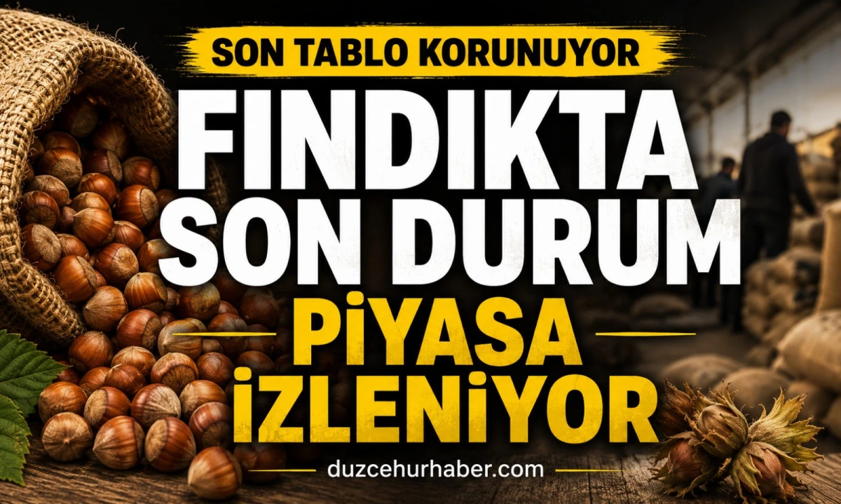 Düzce Fındık Fiyatları 3 Haziran 2026: Piyasada Son Tablo Korunuyor