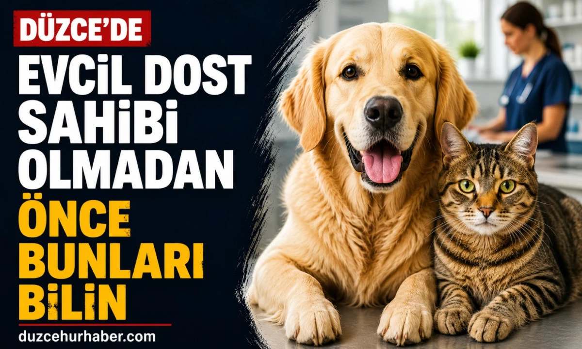 Düzce’de Evcil Hayvan Sahibi Olmak: Mama, Aşı ve Veteriner Rehberi