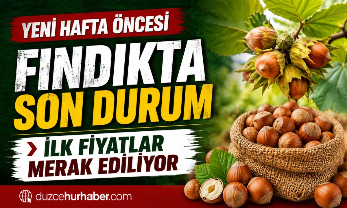 Düzce Fındık Fiyatları 6 Haziran 2026: Yeni Hafta Öncesi Son Durum