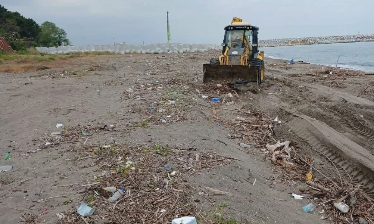 Karadeniz Kıyıya Taşıdı, Ekipler Sahaya İndi