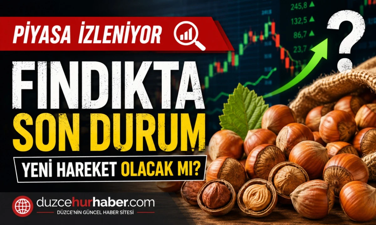 Düzce Fındık Fiyatları 9 Haziran 2026: Piyasada Son Durum Yakından Takip Ediliyor