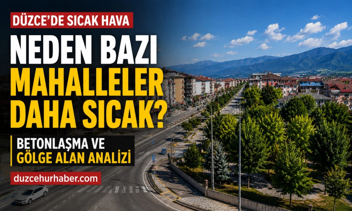 Düzce’de Sıcak Hava Neden Daha Fazla Hissediliyor? Betonlaşma ve Gölge Alan Analizi