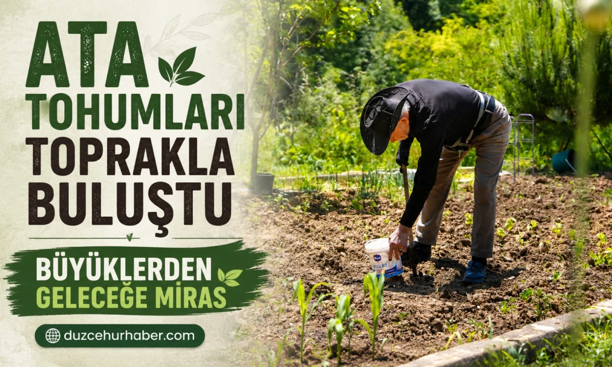 Düzce’de Ata Tohumları Büyüklerin Ellerinde Toprakla Buluştu