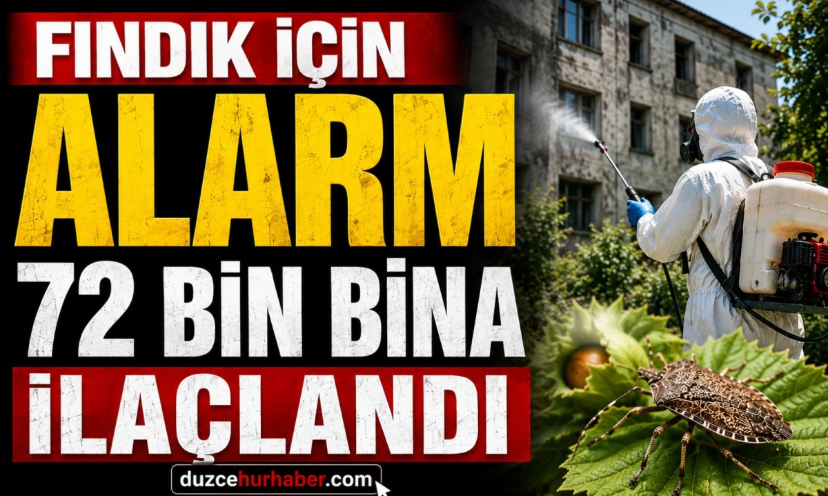 Düzce'de Kokarcaya Karşı Dev Operasyon: 72 Bin Bina İlaçlandı