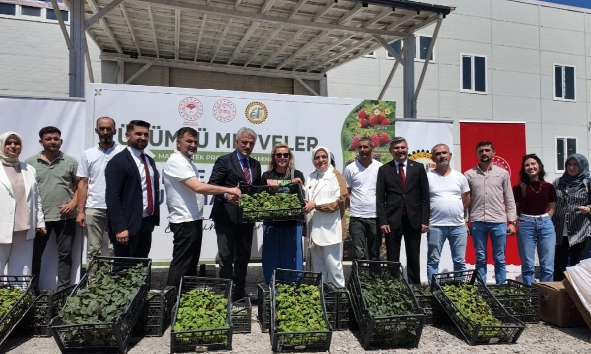 Düzce’de Çiftçilere Destek: Fide ve Damla Sulama Sistemi Dağıtıldı