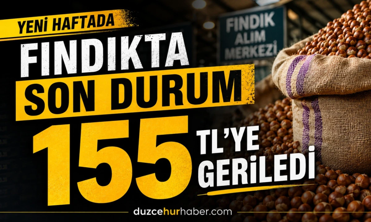 Düzce Fındık Fiyatları 15 Haziran 2026: Düzce’de Fındık 155 TL’ye Geriledi