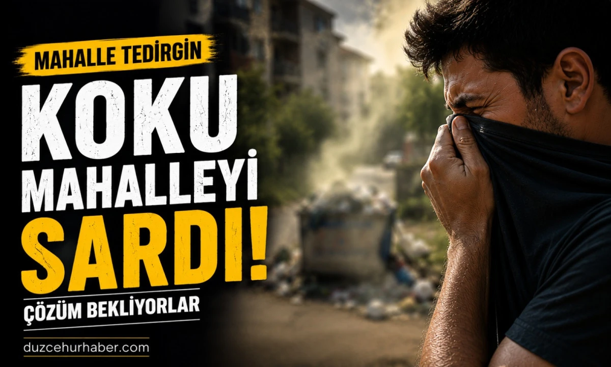 Düzce'de Mahalle tedirgin! Koku mahalleyi sardı! 