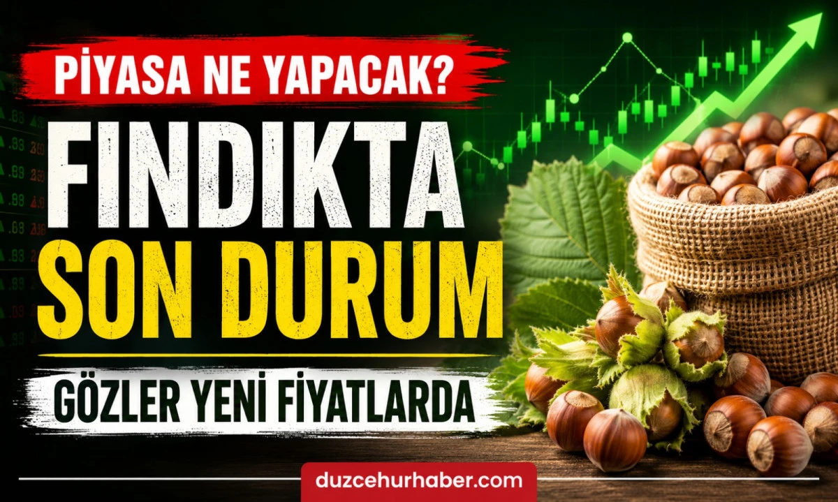 Düzce Fındık Fiyatları 17 Haziran 2026: Piyasada Beklenen Hareket Gelmedi Mi?