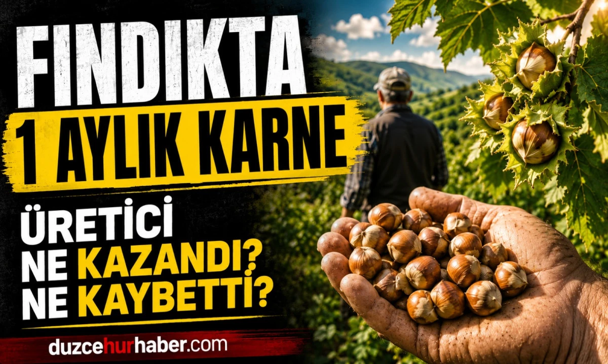 Fındıkta 1 Aylık Karne: Düzce’de Üretici Ne Kazandı, Ne Kaybetti?
