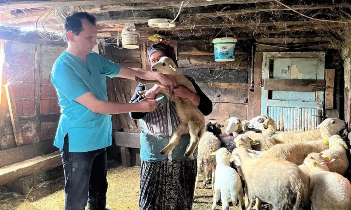 Yığılca'da Küçükbaş İşletmelere Sıkı Denetim