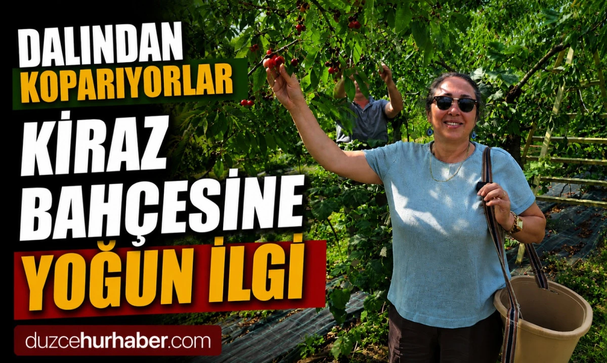 Dalından Koparıp Yiyorlar, İlgi Her Geçen Gün Artıyor