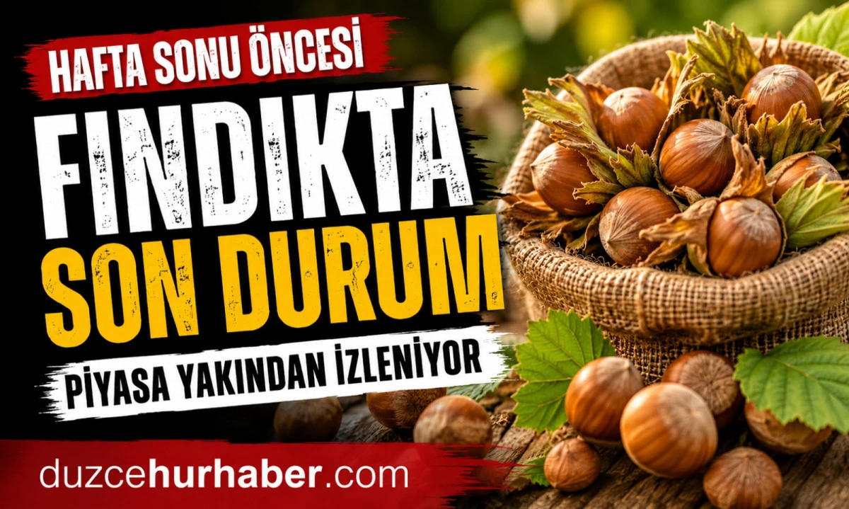 Düzce Fındık Fiyatları 25 Haziran 2026: Hafta Sonu Öncesi Piyasada Son Durum