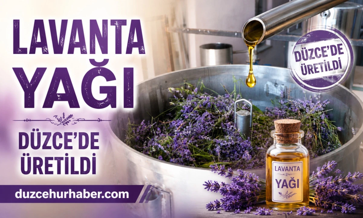 Düzce'de Lavanta Bilimle Değer Kazanıyor