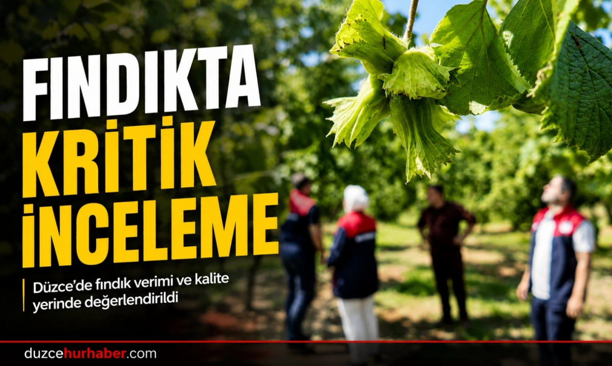 Fındıkta Kritik Süreç Başladı