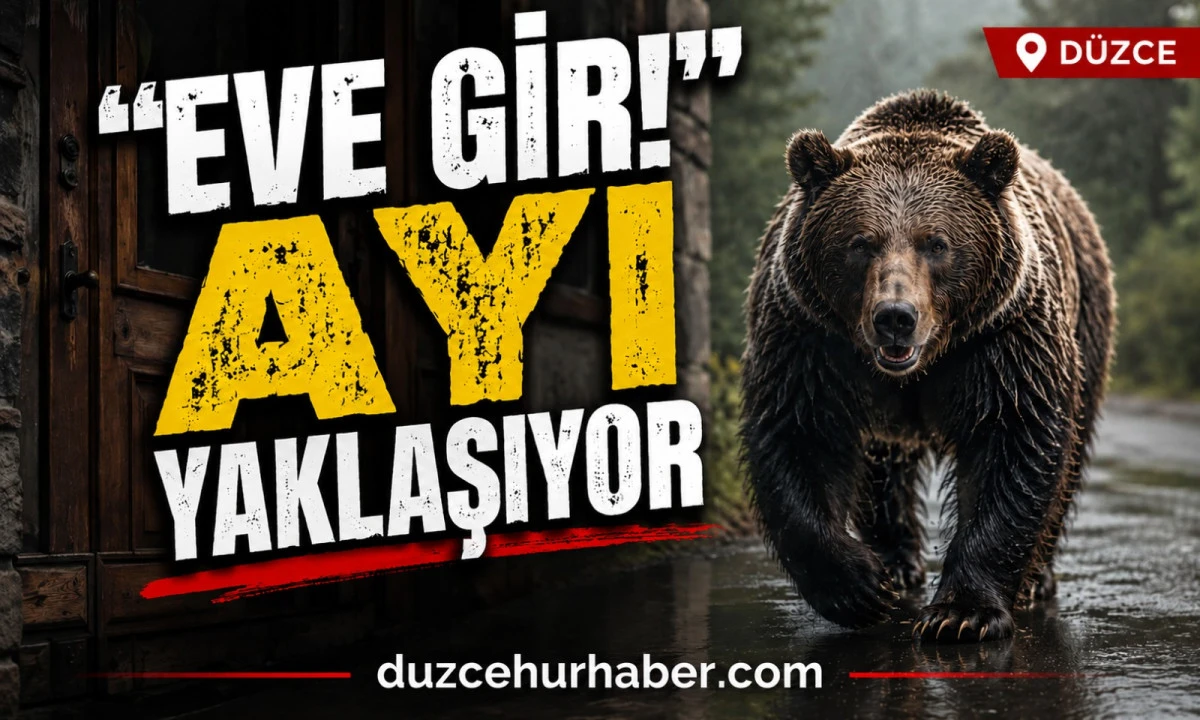Ayıyı Görüntülerken Ölümle Burun Buruna Geldi