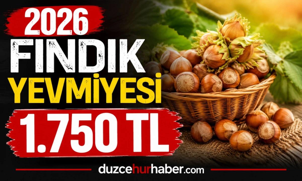 2026 Fındık İşçisi Yevmiyesi Ne Kadar? Günlük Ücret 1.750 TL Oldu