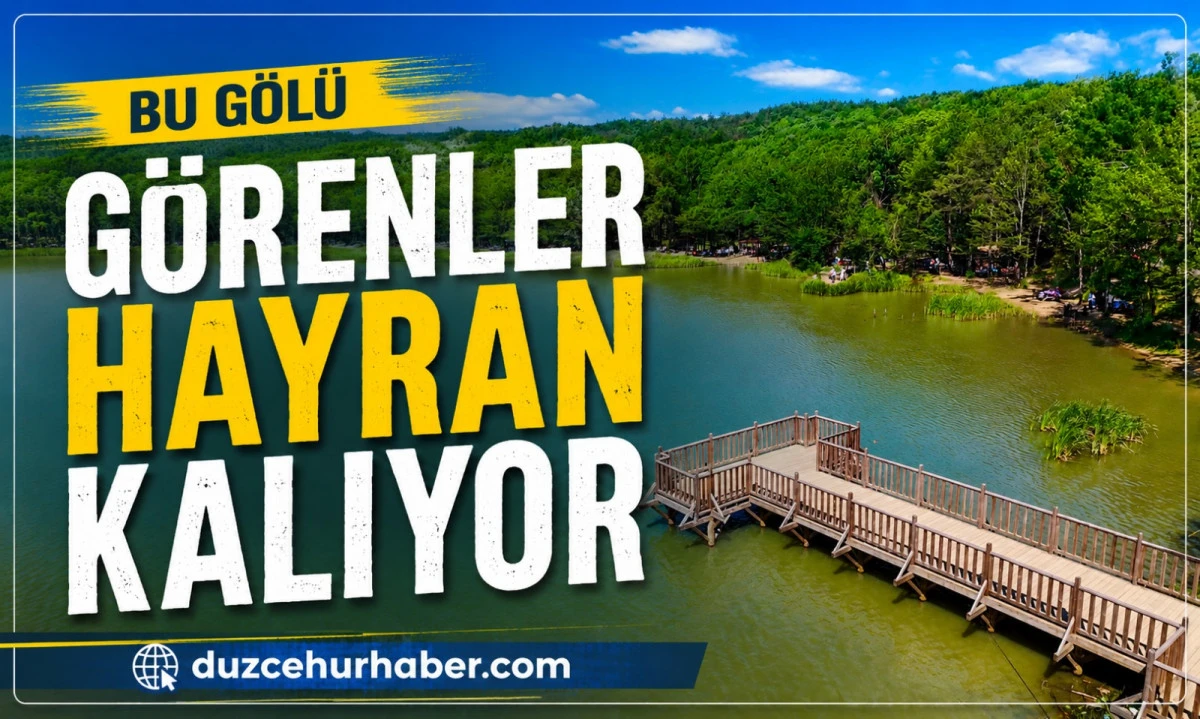Düzce'nin Saklı Cenneti Ziyaretçi Akınına Uğruyor