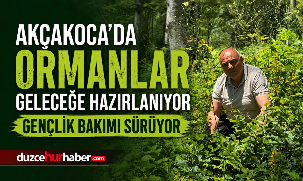 Akçakoca'da Genç Ormanlar İçin Bakım Çalışmaları Sürüyor