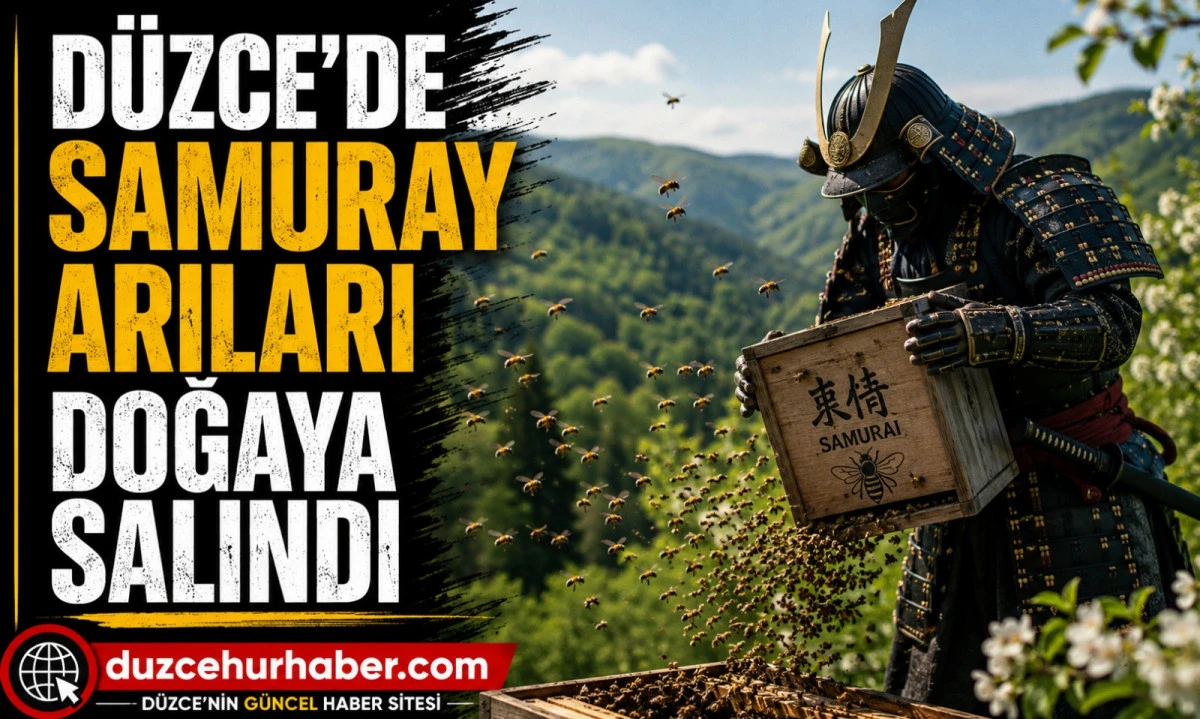 Düzce'de Samuray Arıları Yeniden Sahaya İndi