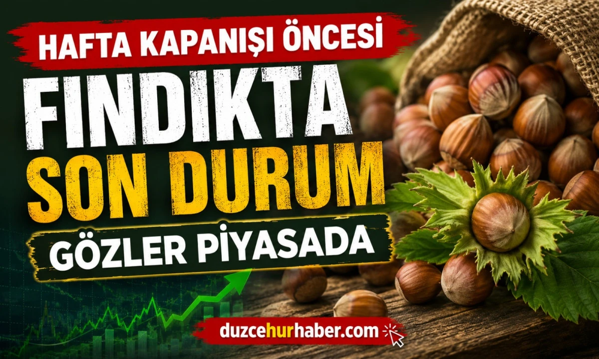 Düzce Fındık Fiyatları 9 Temmuz 2026: Hafta Kapanışı Öncesi Piyasada Son Durum