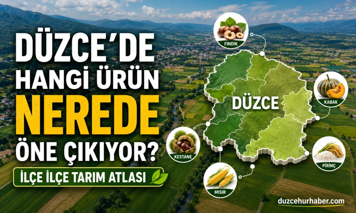 Düzce Tarım Atlası: Hangi ilçede hangi ürün öne çıkıyor?