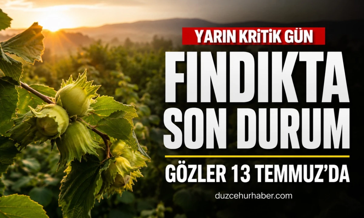 Düzce Fındık Fiyatları 12 Temmuz 2026: Gözler Yarın Açıklanacak İlk Fiyatlarda