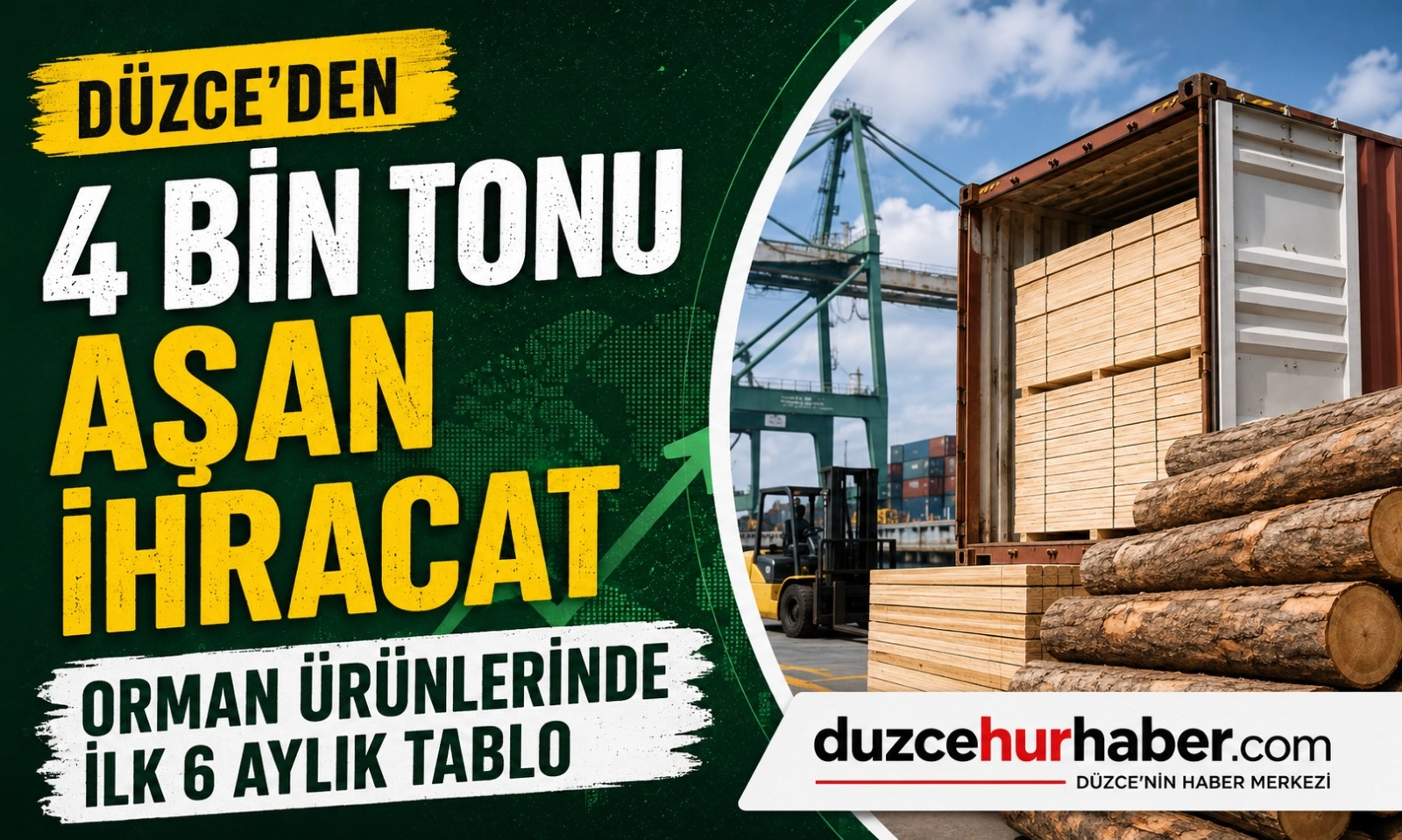 Düzce'den 6 Ayda 4 Bin Tonu Aşan Orman Ürünü İhracatı