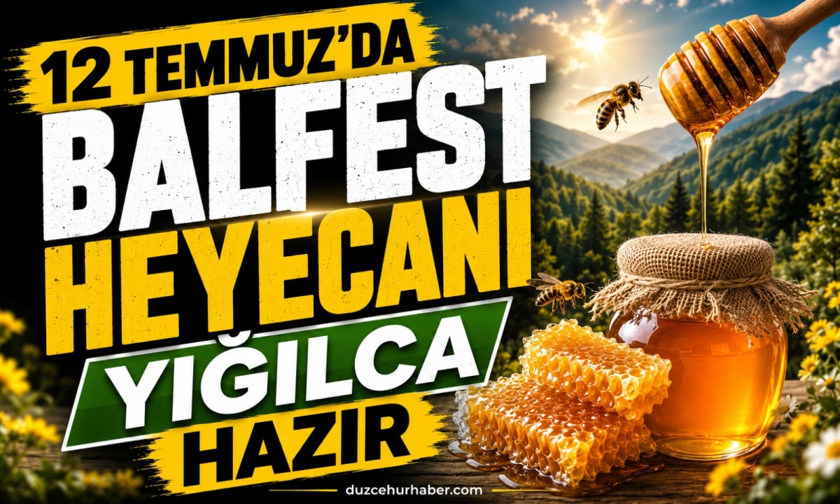 Yığılca BalFest İçin Gün Sayıyor: İlk Festival 12 Temmuz'da