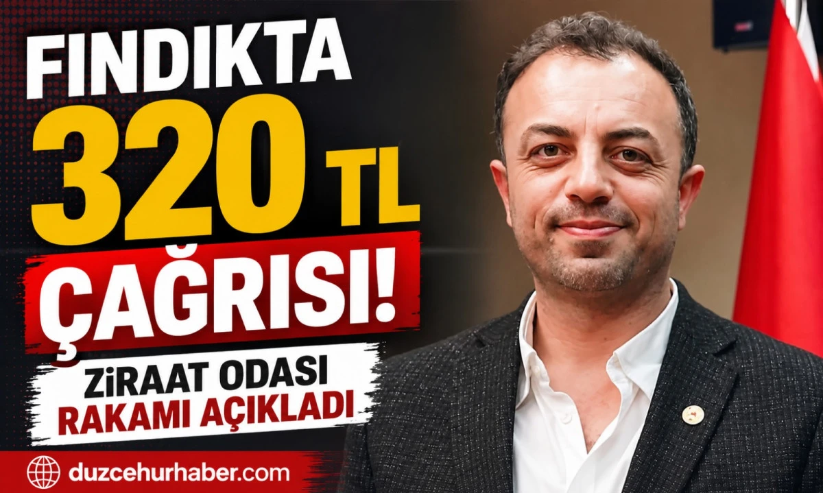 Fındıkta Kritik Hesap! Ziraat Odası 320 TL'nin Altını İşaret Etmedi