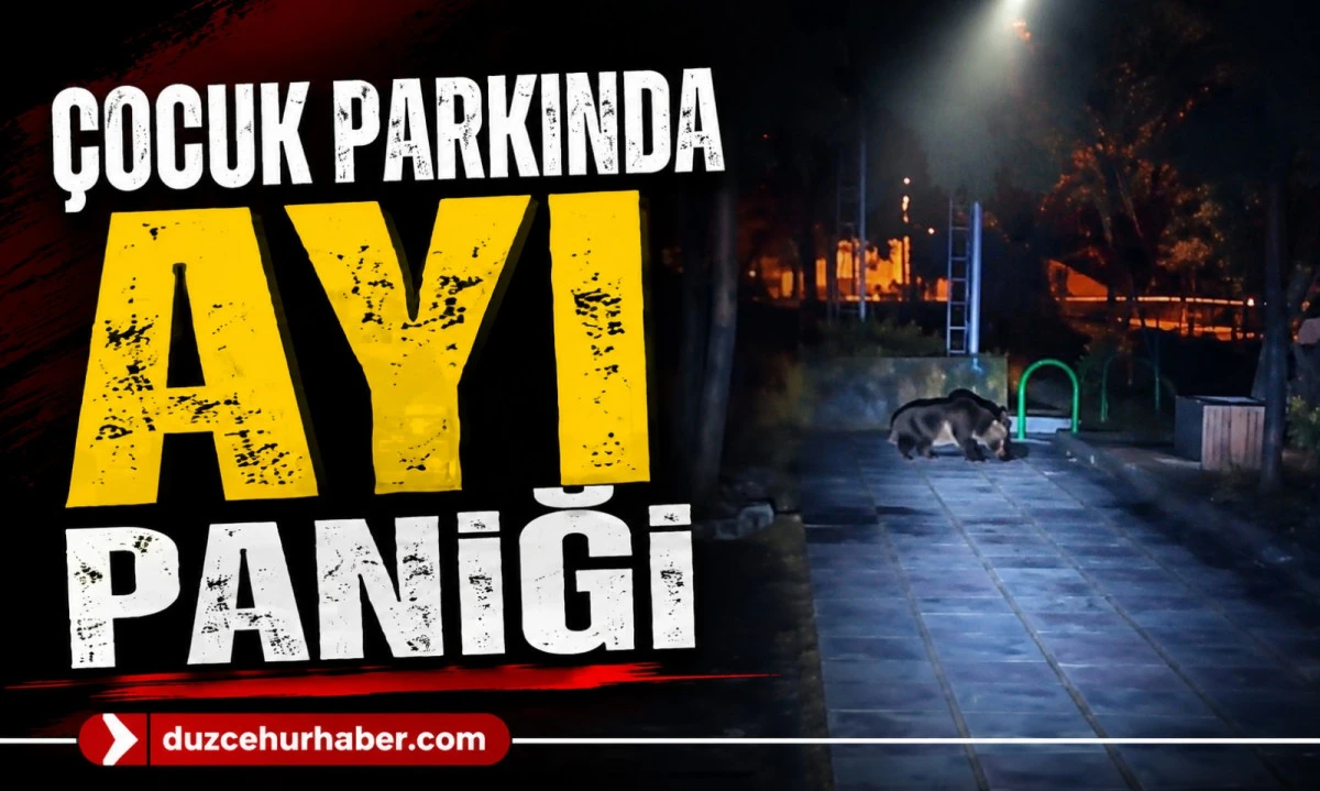 Çocuk Parkında Ayı Paniği! O Anlar Kamerada
